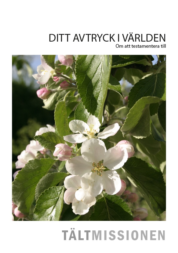 Testamente, Tältmissionen